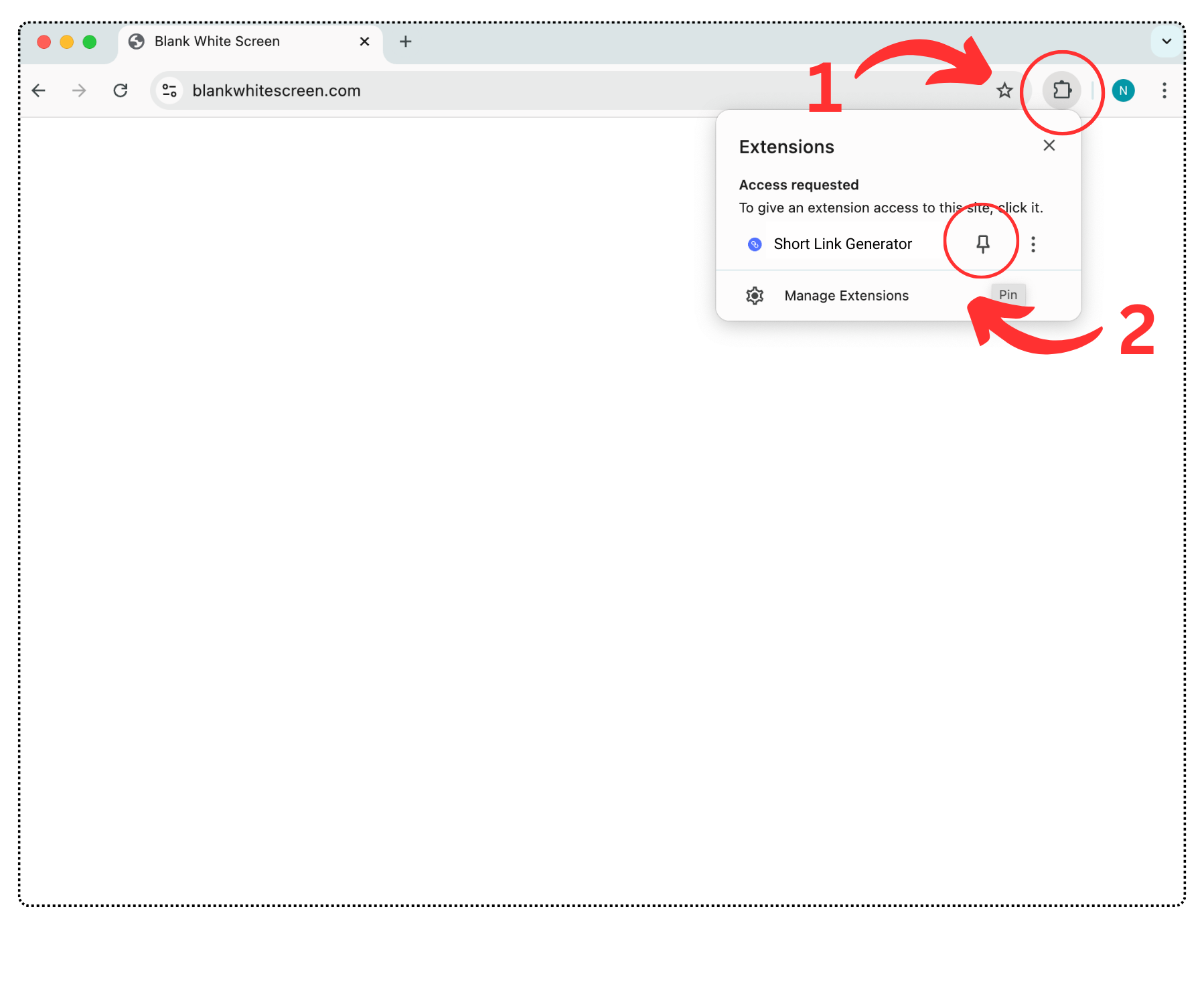 How to pin the extension